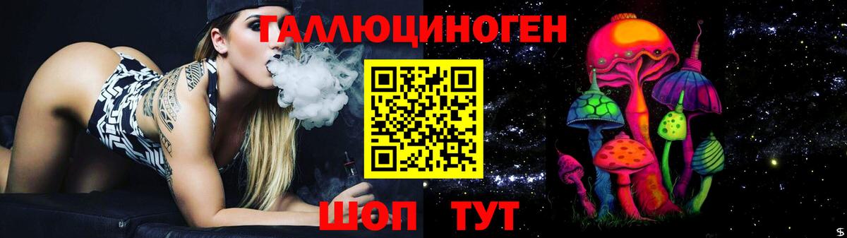 Галлюциногенные грибы Psilocybe Видное